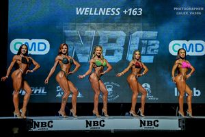 WELLNESS +163